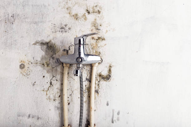 Best Mold Testing  in Western Lake, TX