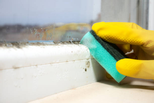 Best Mold Cleaning Services  in Western Lake, TX