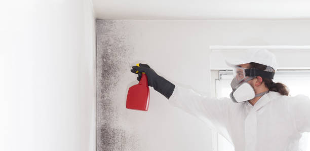 Best Local Mold Removal Service  in Western Lake, TX